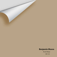 Benjamin Moore - Brush Beige CW-125 Colour Sample