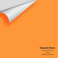 Big Paint Chip - Carrot Stick 2016-30