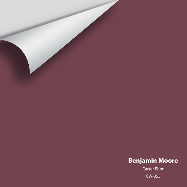 Benjamin Moore - Carter Plum CW-355 Colour Sample