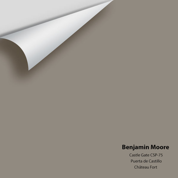 Benjamin Moore - Castle Gate CSP-75 Colour Sample