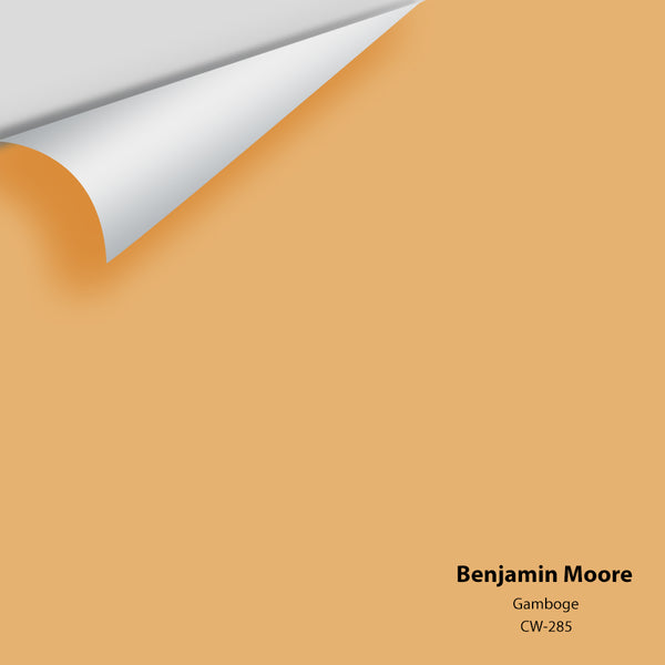 Benjamin Moore - Gamboge CW-285 Colour Sample