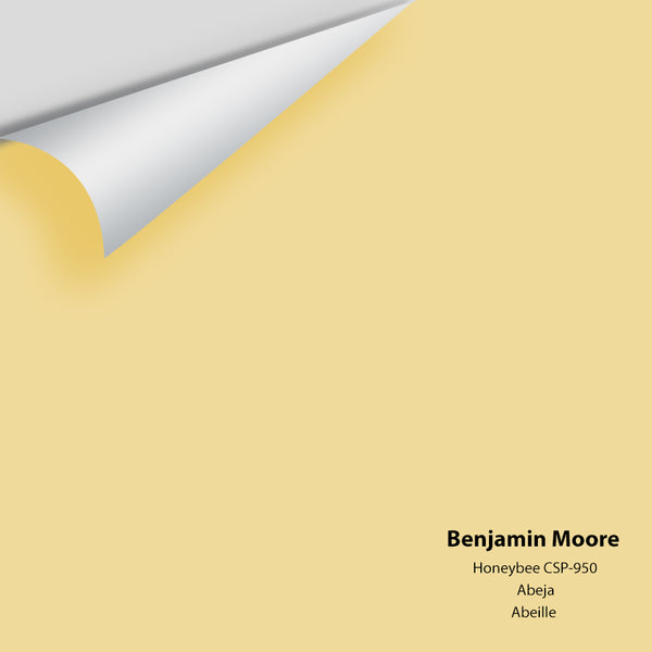 Benjamin Moore - Honeybee CSP-950 Colour Sample