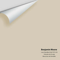 Benjamin Moore - Lace Handkerchief CSP-220 Colour Sample