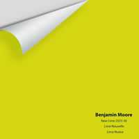 Big Paint Chip - New Lime 2025-30