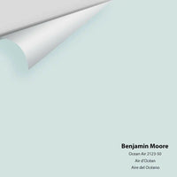 Benjamin Moore - Ocean Air 2123-50 Colour Sample