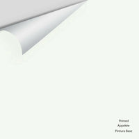 Primed Big Paint Chip