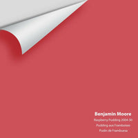 Big Paint Chip - Raspberry Pudding 2004-30