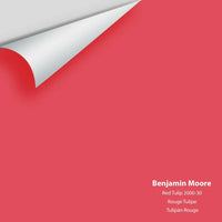 Big Paint Chip - Red Tulip 2000-30