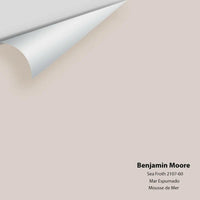 Benjamin Moore - Sea Froth 2107-60 Colour Sample