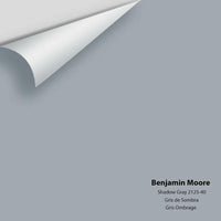 Benjamin Moore - Shadow Gray 2125-40 Colour Sample