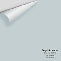 Benjamin Moore - Silver Gray 2131-60 Colour Sample