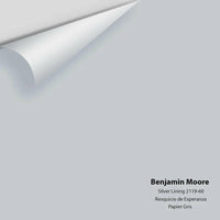 Benjamin Moore - Silver Lining 2119-60 Colour Sample
