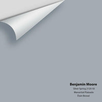 Benjamin Moore - Silver Spring 2120-50 Colour Sample
