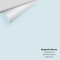 Benjamin Moore - Sweet Bluette 813 Colour Sample