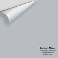 Benjamin Moore - Thundercloud Gray 2124-40 Colour Sample