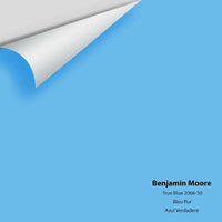 Big Paint Chip - True Blue 2066-50