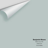 Benjamin Moore - Wales Gray 1585 Colour Sample