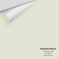 Benjamin Moore - White River 1499 Colour Sample
