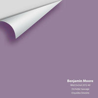 Big Paint Chip - Wild Orchid 2072-40 Benjamin Moore®