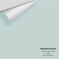Benjamin Moore - Harbour Haze 2136-60 Colour Sample