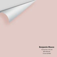 Benjamin Moore - Honey Hut 2102-60 Colour Sample