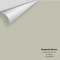 Benjamin Moore - Horizon Gray 2141-50 Colour Sample