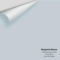Benjamin Moore - Mt. Rainier Gray 2129-60 Colour Sample