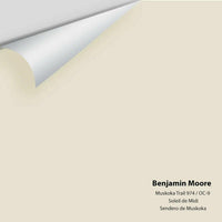 Benjamin Moore - Muskoka Trail 974 Colour Sample