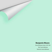 Big Paint Chip - Santa Barbara Green 2037-60