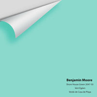 Big Paint Chip - Shore House Green 2047-50