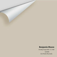 Benjamin Moore - Smokey Taupe 983 Colour Sample