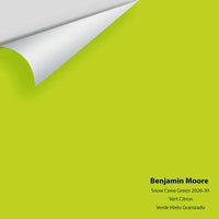 Big Paint Chip - Snow Cone Green 2026-30