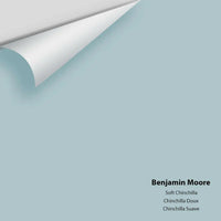Benjamin Moore - Soft Chinchilla 2135-50 Colour Sample