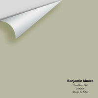 Benjamin Moore - Tree Moss 508 Colour Sample