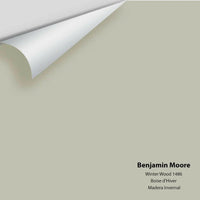 Benjamin Moore - Winterwood 1486 Colour Sample
