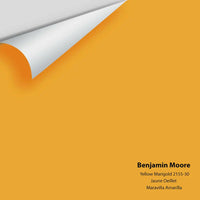 Big Paint Chip - Yellow Marigold 2155-30