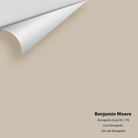 Benjamin Moore - Annapolis Gray HC-176 Colour Sample