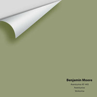Benjamin Moore - Aventurine AF-445 Colour Sample