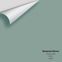 Benjamin Moore - Azores AF-495 Colour Sample