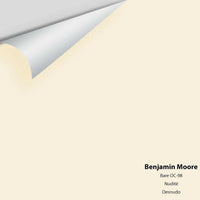 Big Paint Chip - Bare OC-98