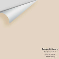 Benjamin Moore - Brandy Cream 1030 / CC-60 / OC-4 Colour Sample