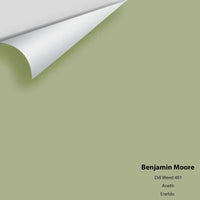Benjamin Moore - Dill Weed 481 Colour Sample
