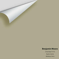 Benjamin Moore - Dried Basil 1510 Colour Sample
