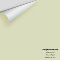 Big Paint Chip - Dune Grass 492