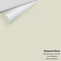 Benjamin Moore - Morning Dew 1493 / OC-140 Colour Sample