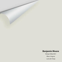 Benjamin Moore - Sheep's Wool 857 Colour Sample