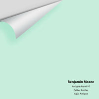 Big Paint Chip - Antigua Aqua 610