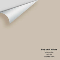Benjamin Moore - Ashen Tan 996 Colour Sample