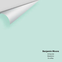 Benjamin Moore - At Sea 666 Colour Sample