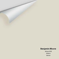 Benjamin Moore - Athena 858 Colour Sample